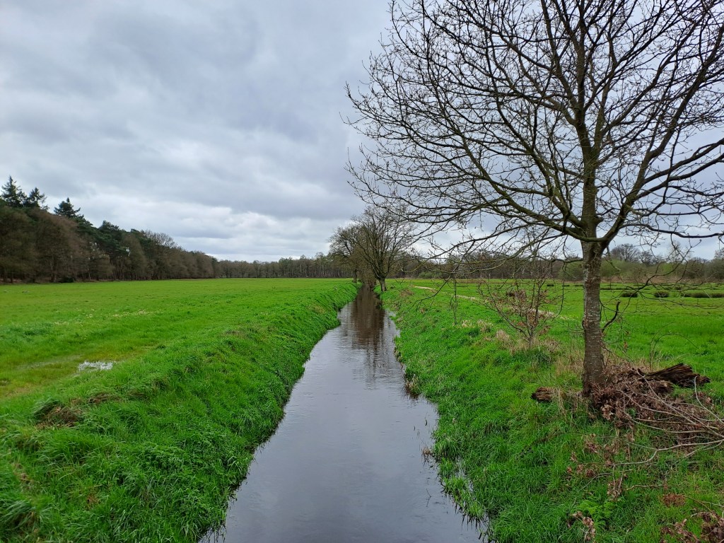 Beek door weilanden
