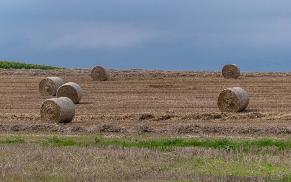Hooibalen in een veld