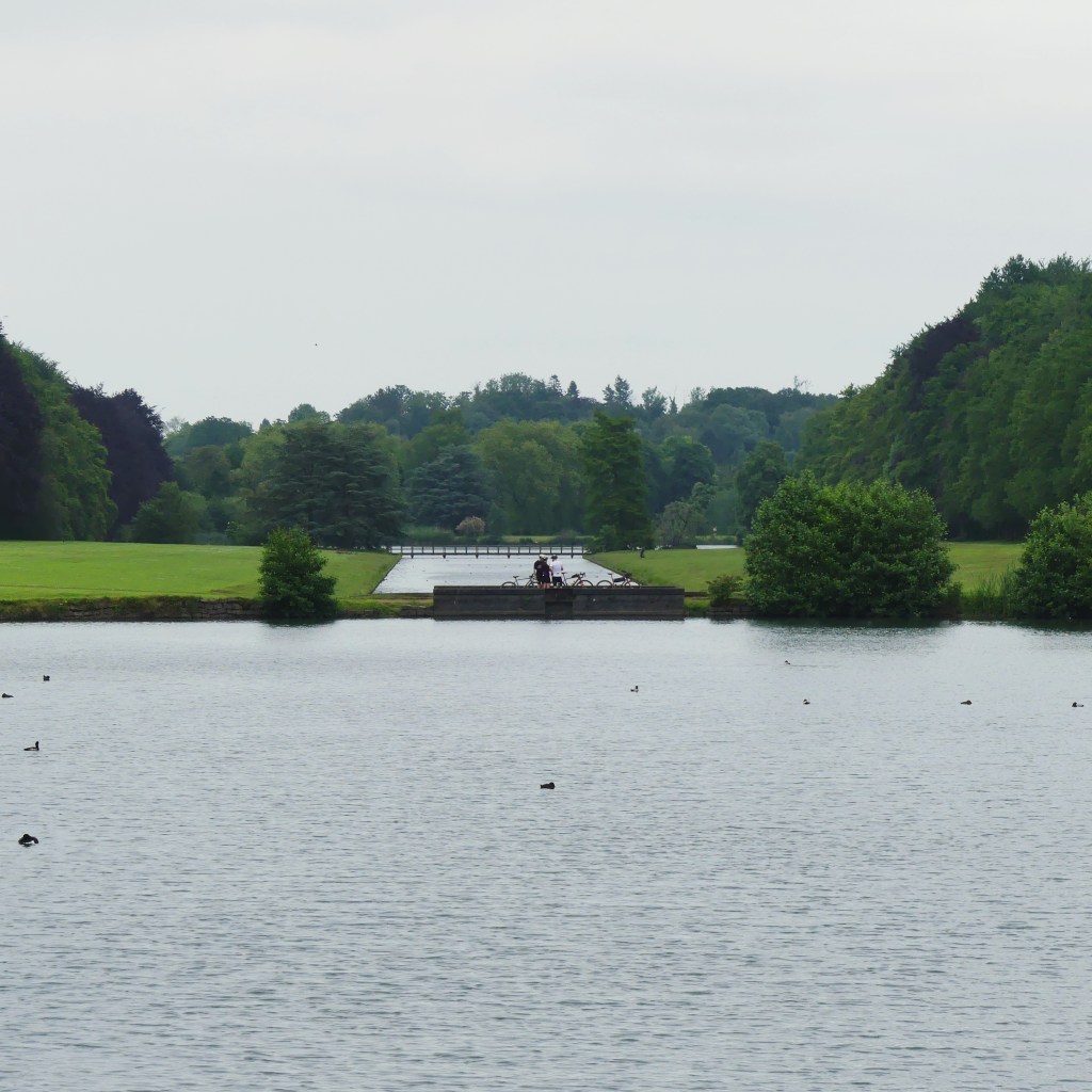 Water in het park van tervuren
