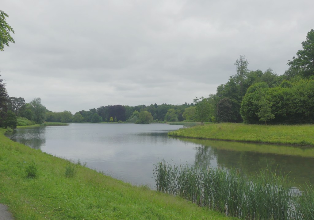 meer water in het park van tervuren