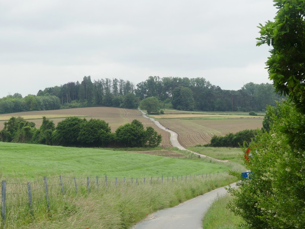 Een weg net buiten tervuren in het groen